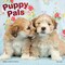 Puppy Pals | 2026 12 x 24 Inch (Hanging) Monthly Square Wall Calendar | Foil Stamped Cover